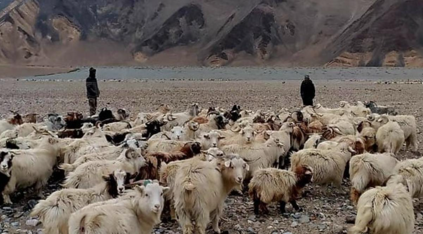 Indian Graziers Stopped by Chinese Soldiers in Ladakh
